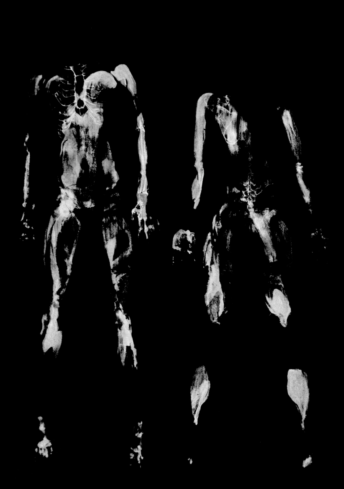 Imprint (2024) Fine Art Print