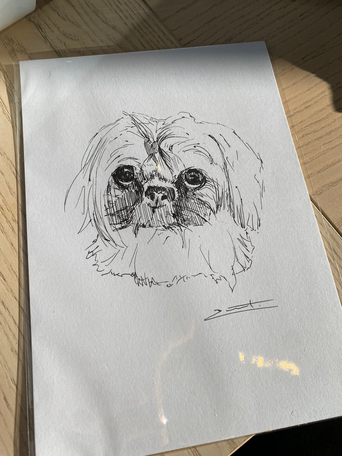 Becky Sweet's Dog Drawing Pop-Up at Esquires Newport!