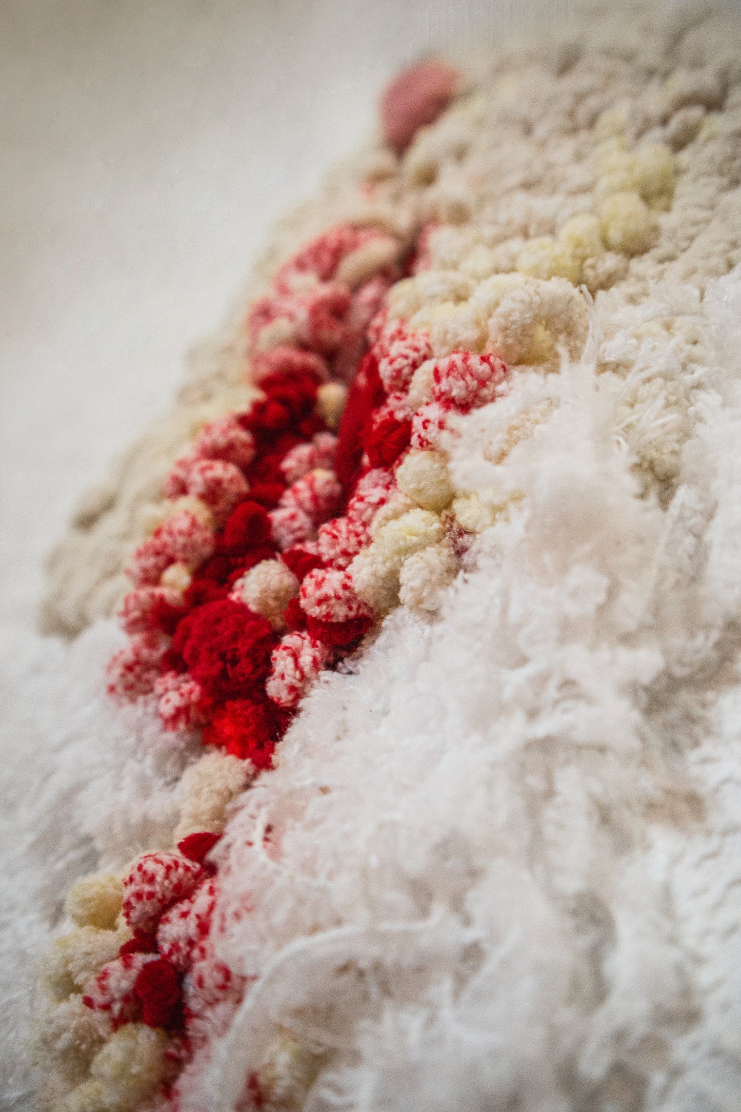 Canvussy (2025) Original Artwork