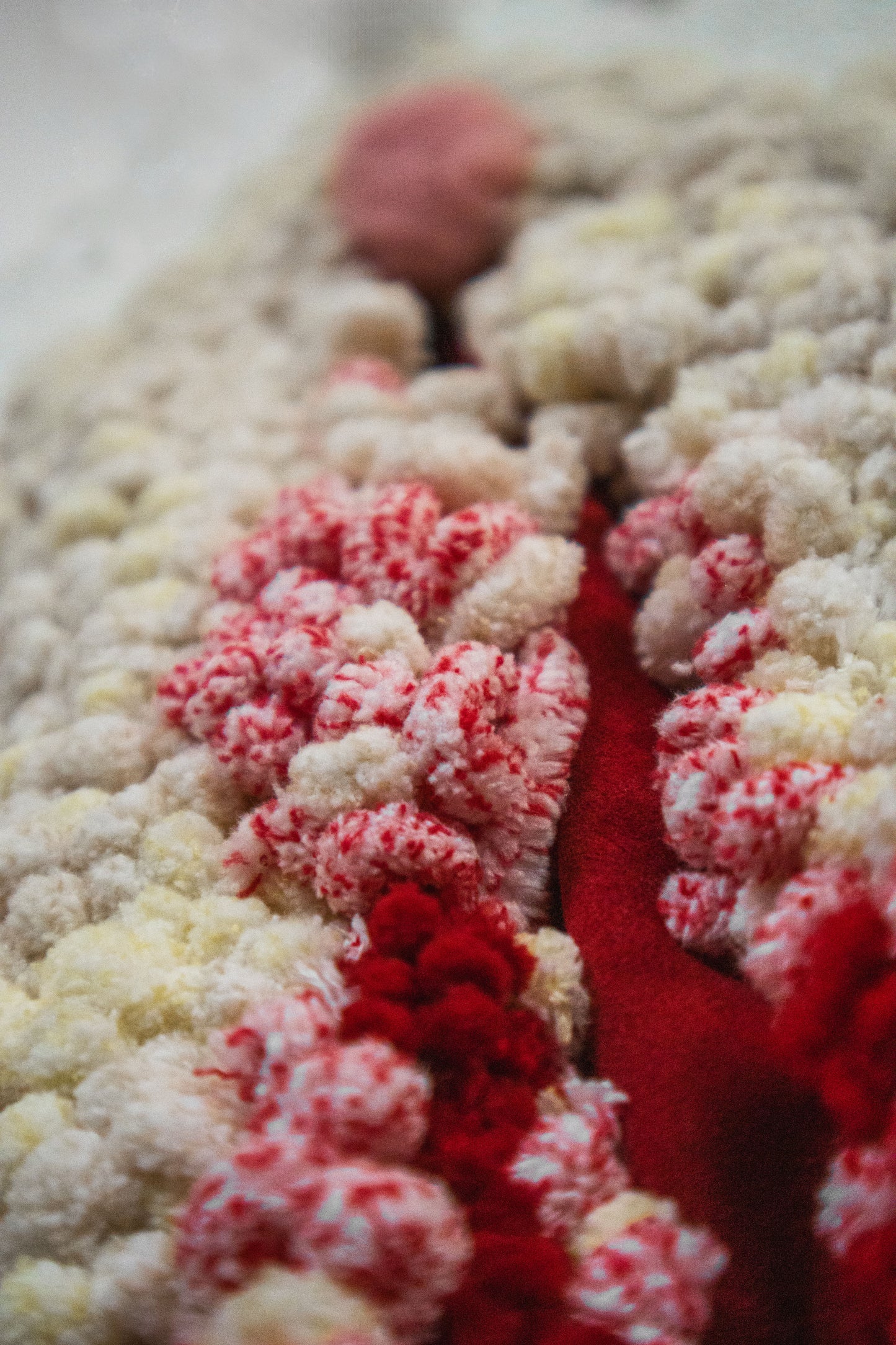 Canvussy (2025) Original Artwork