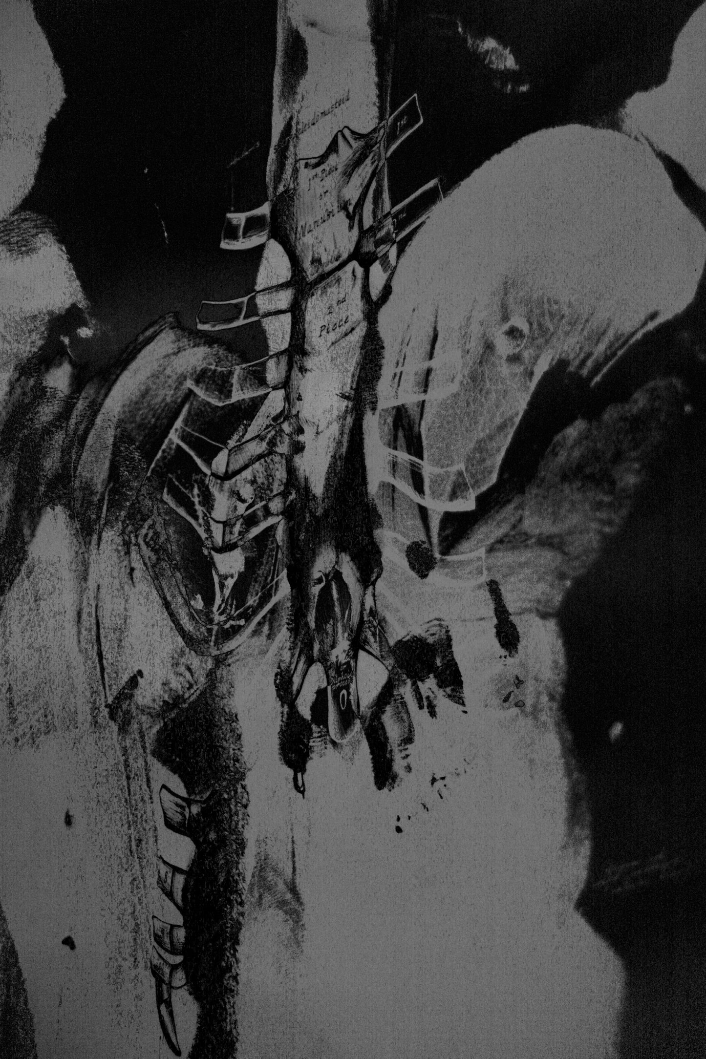 Chest Scan (2024) Fine Art Print