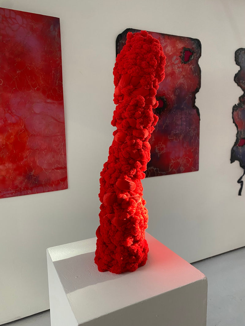 Becky Sweet, Shlong (2025)