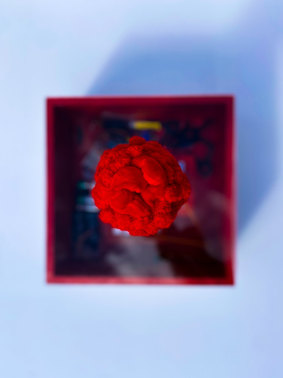 Chode (2025) Original Artwork