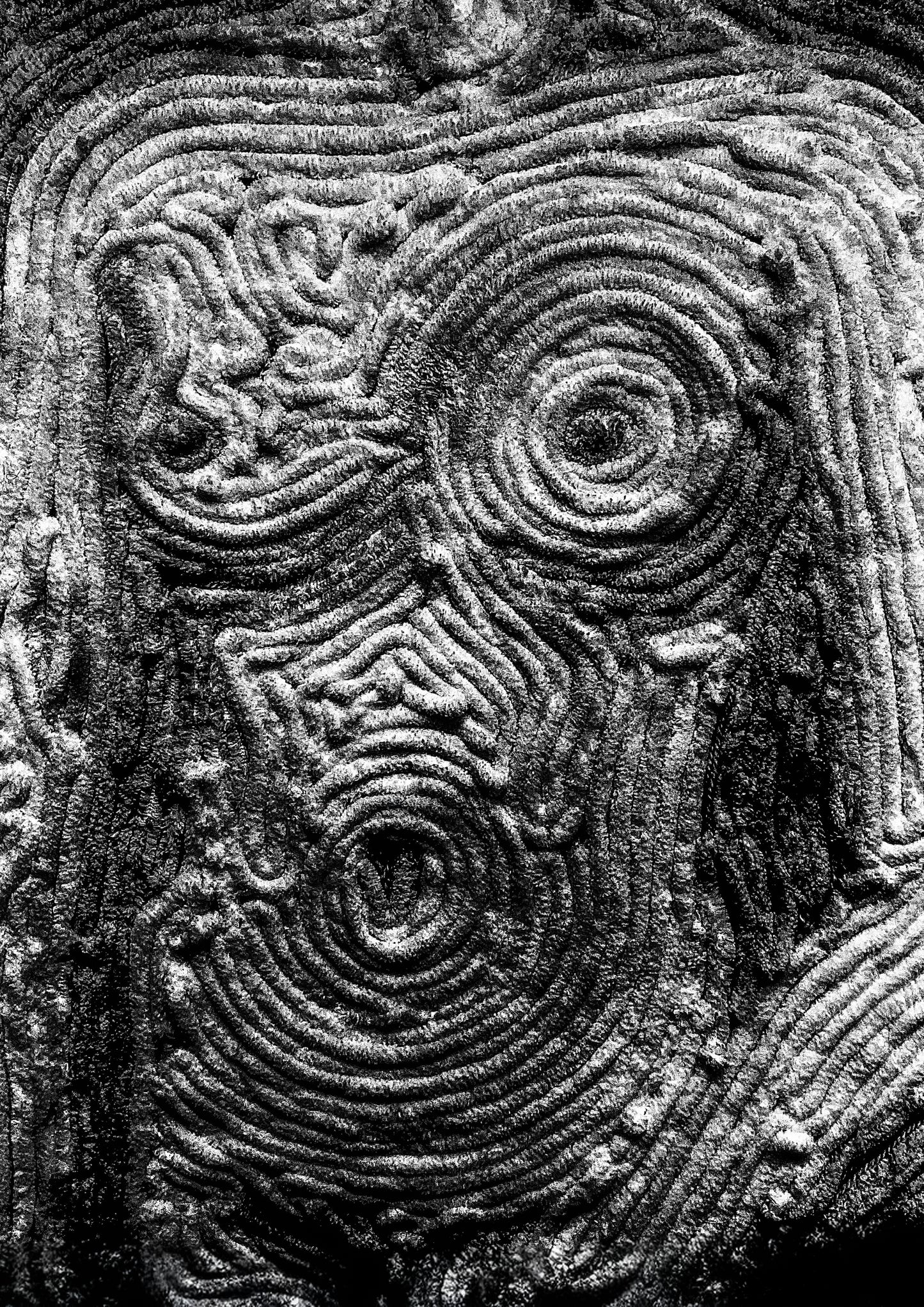 Pretty in Pink (2025) Fine Art Print