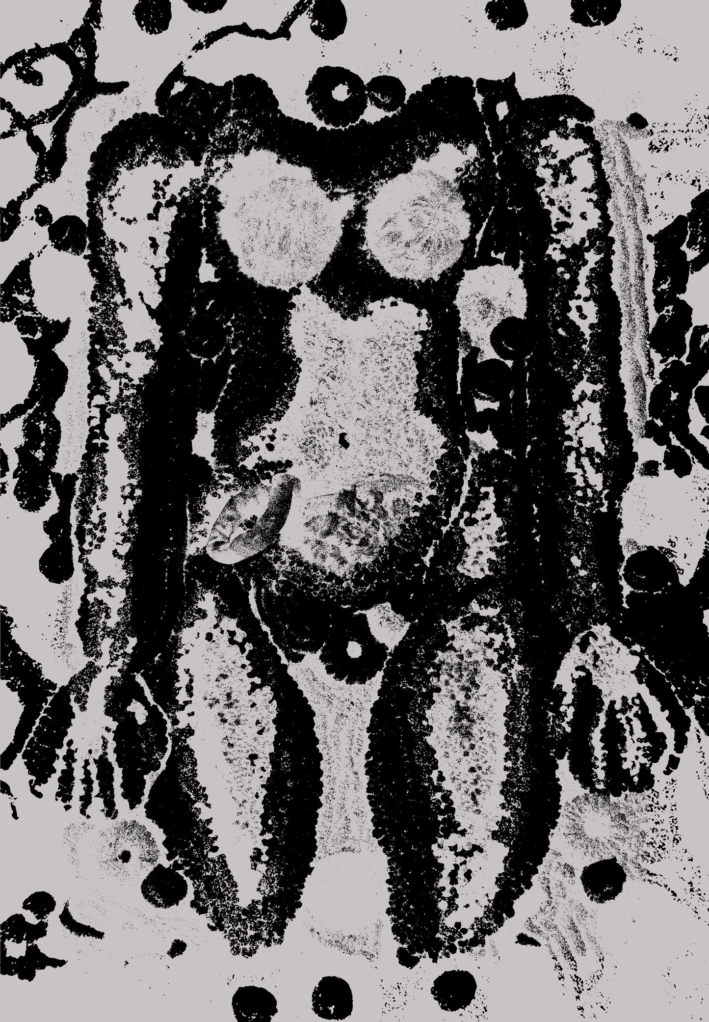 Lost in Thought (2025) Fine Art Print [LIMITED TO 15]